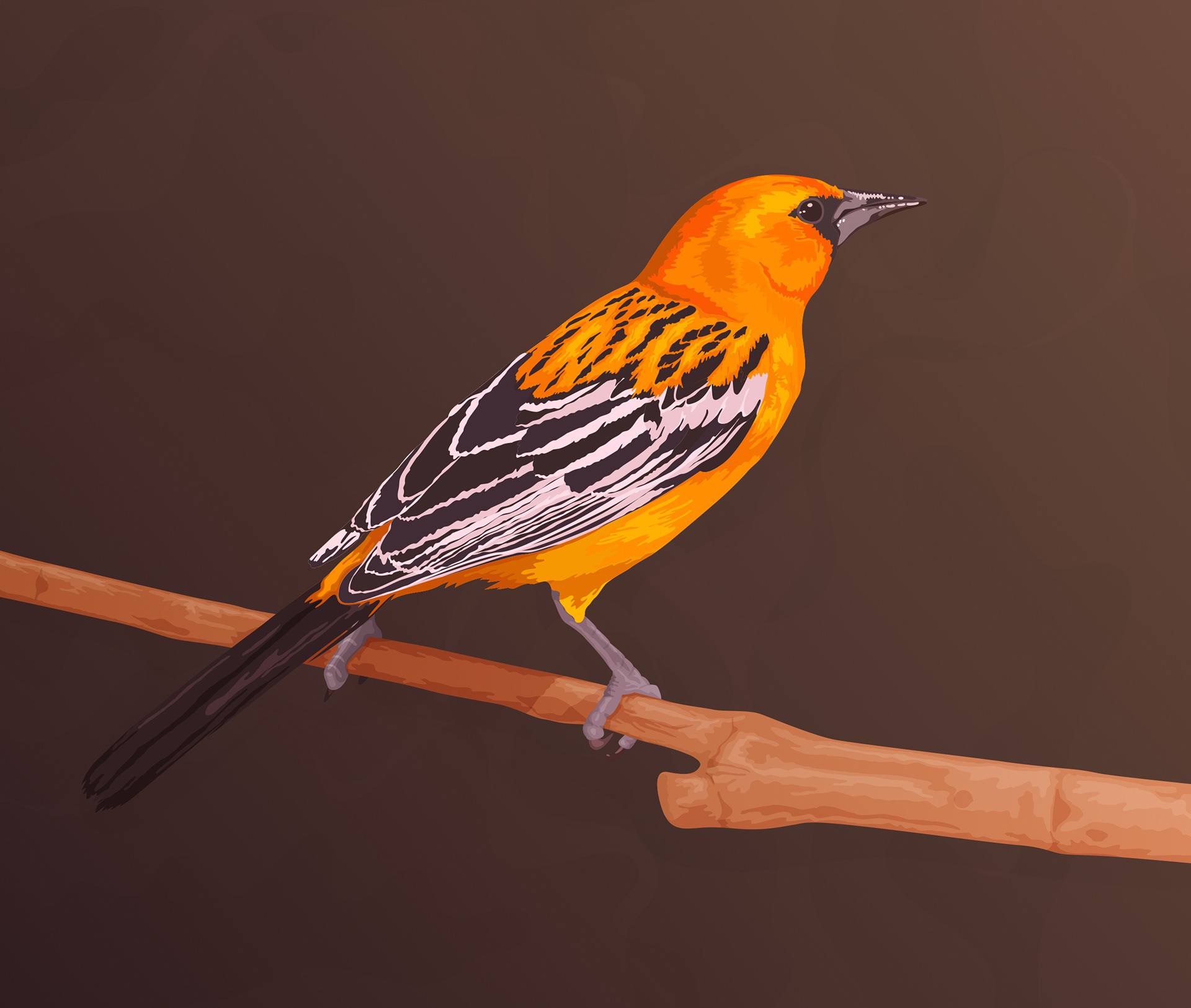 Bird Illustration — Variation 1