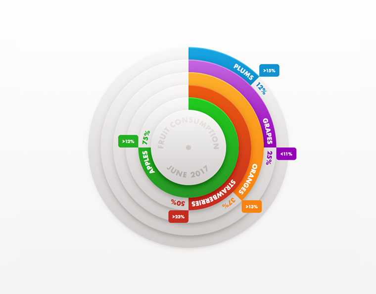 Concentric Circles Infograpic