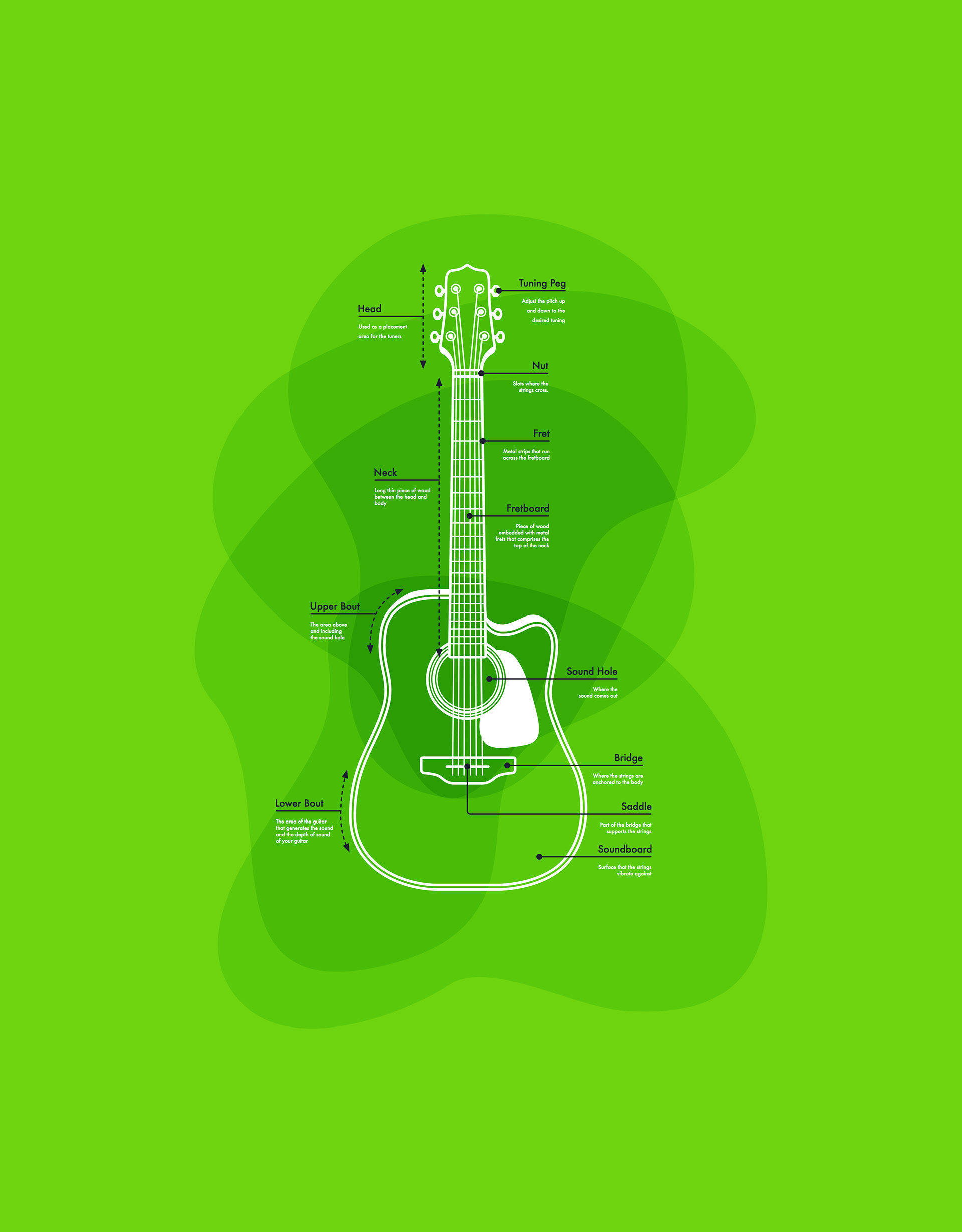 Guitar Infographic — Variation 7