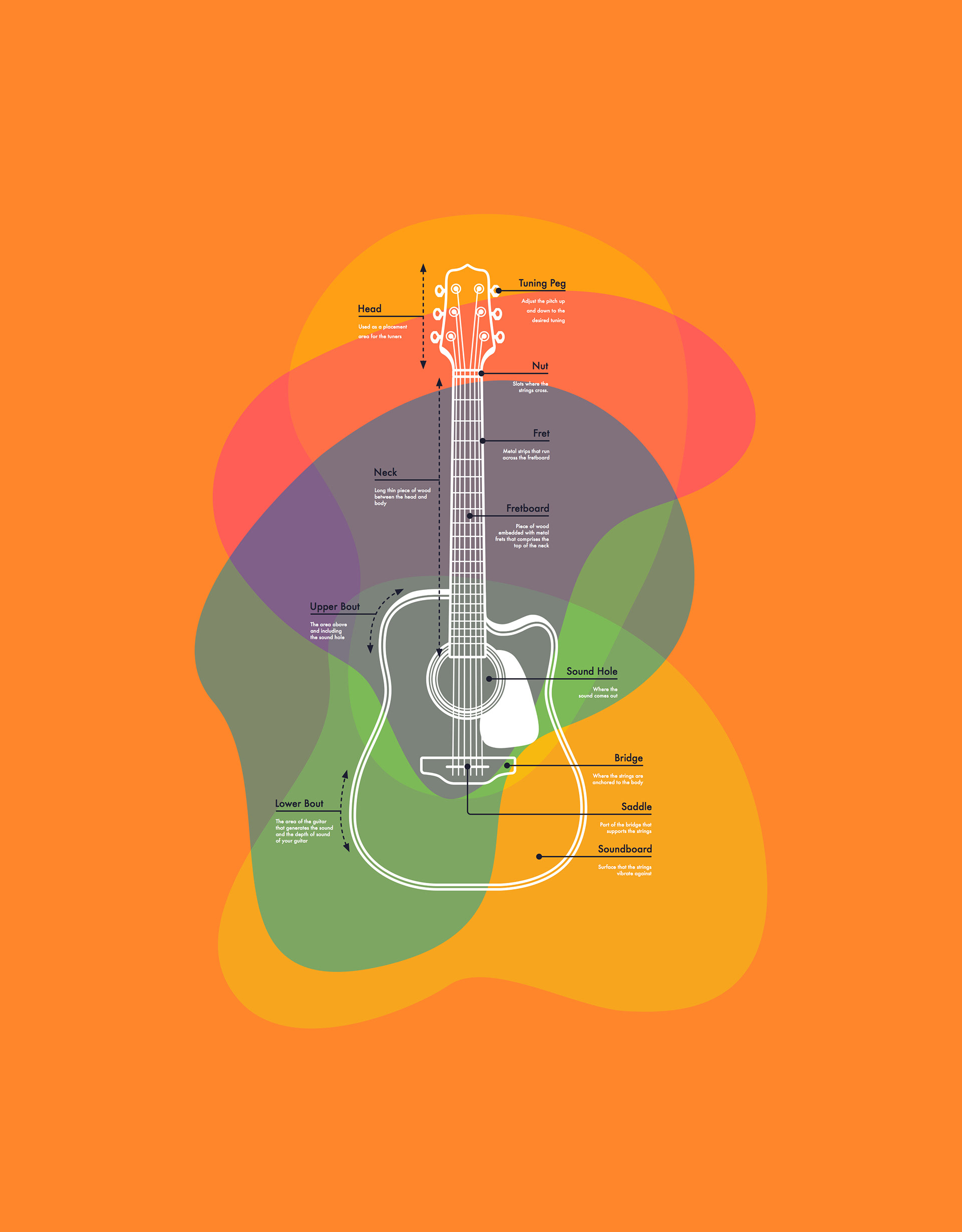 Guitar Infographic — Variation 2