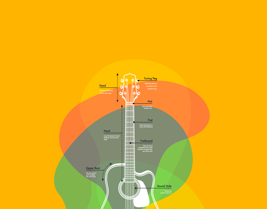 Guitar Infographic