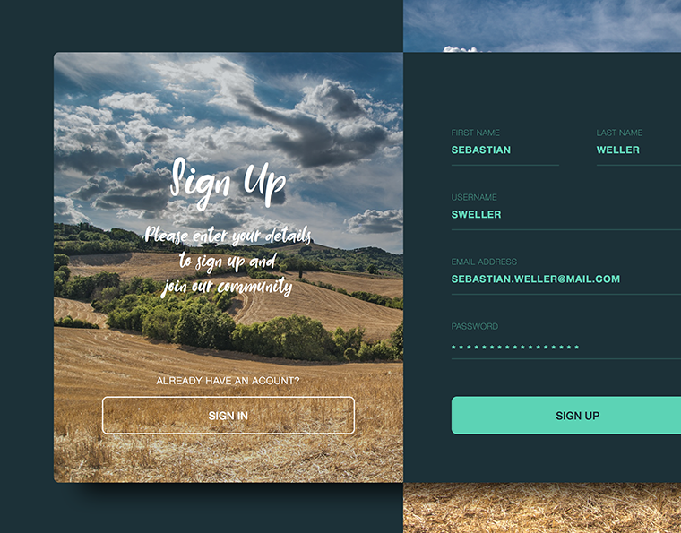 Sign Up Form